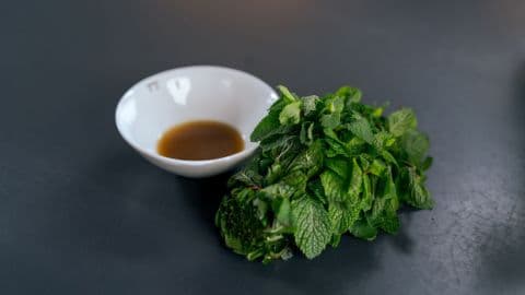 Lamb Juice and Mint Sauce
