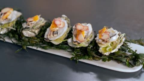 Gaya oysters